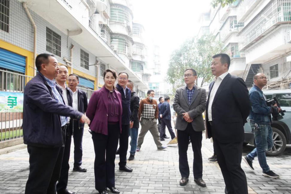 蒋志刚来我区督查老旧小区改造工作(图2)